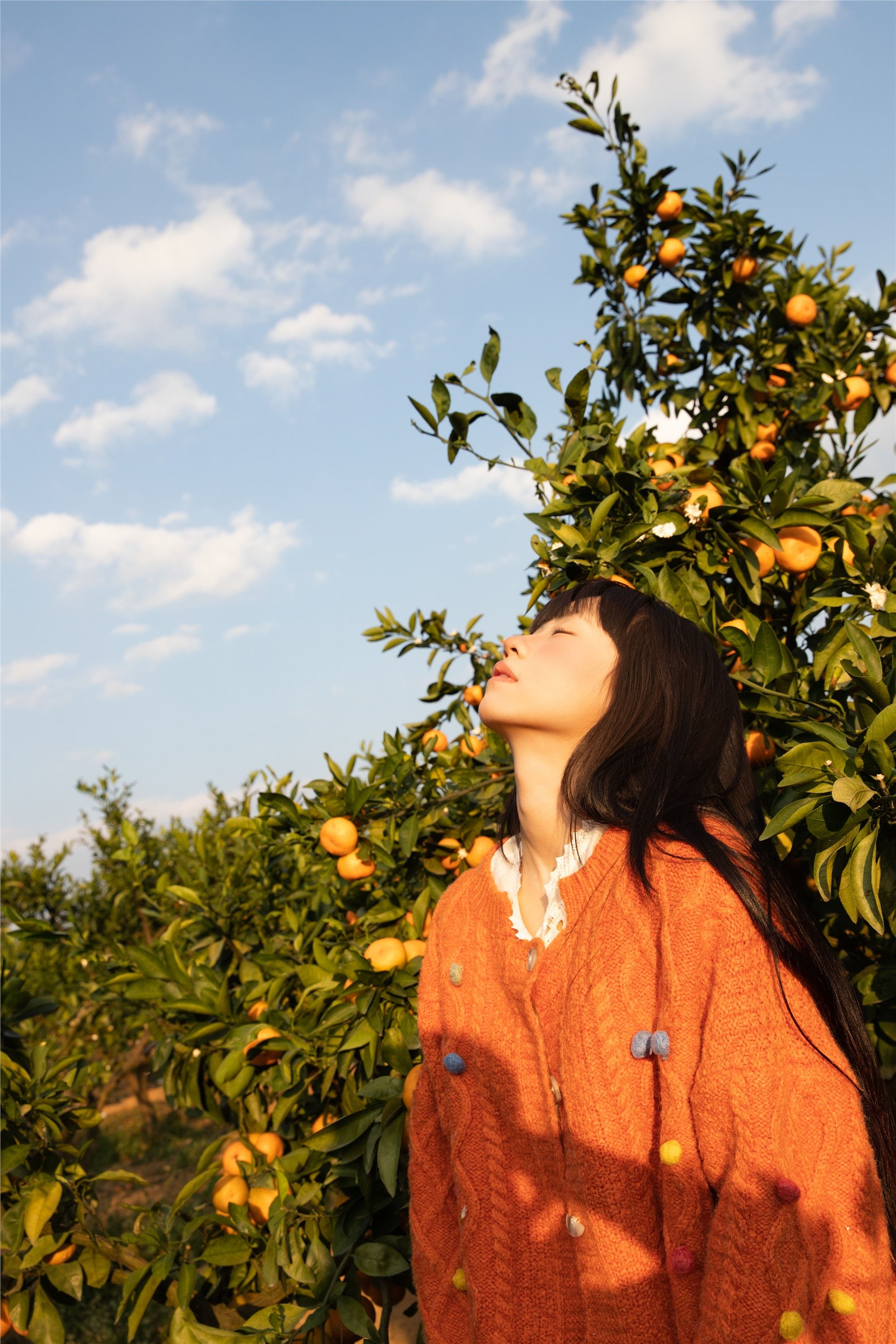 YITUYU艺图语 2025.02.03 橘子辉煌 是三金呀